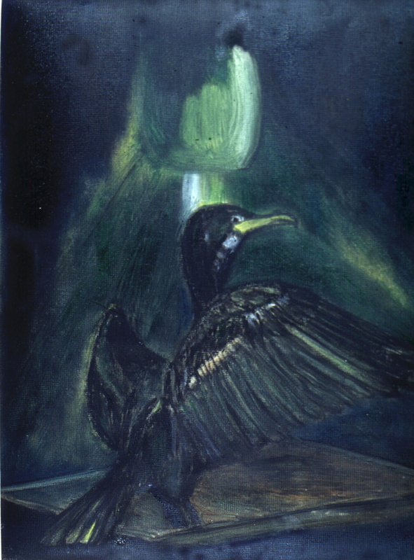 green-light-cormorant